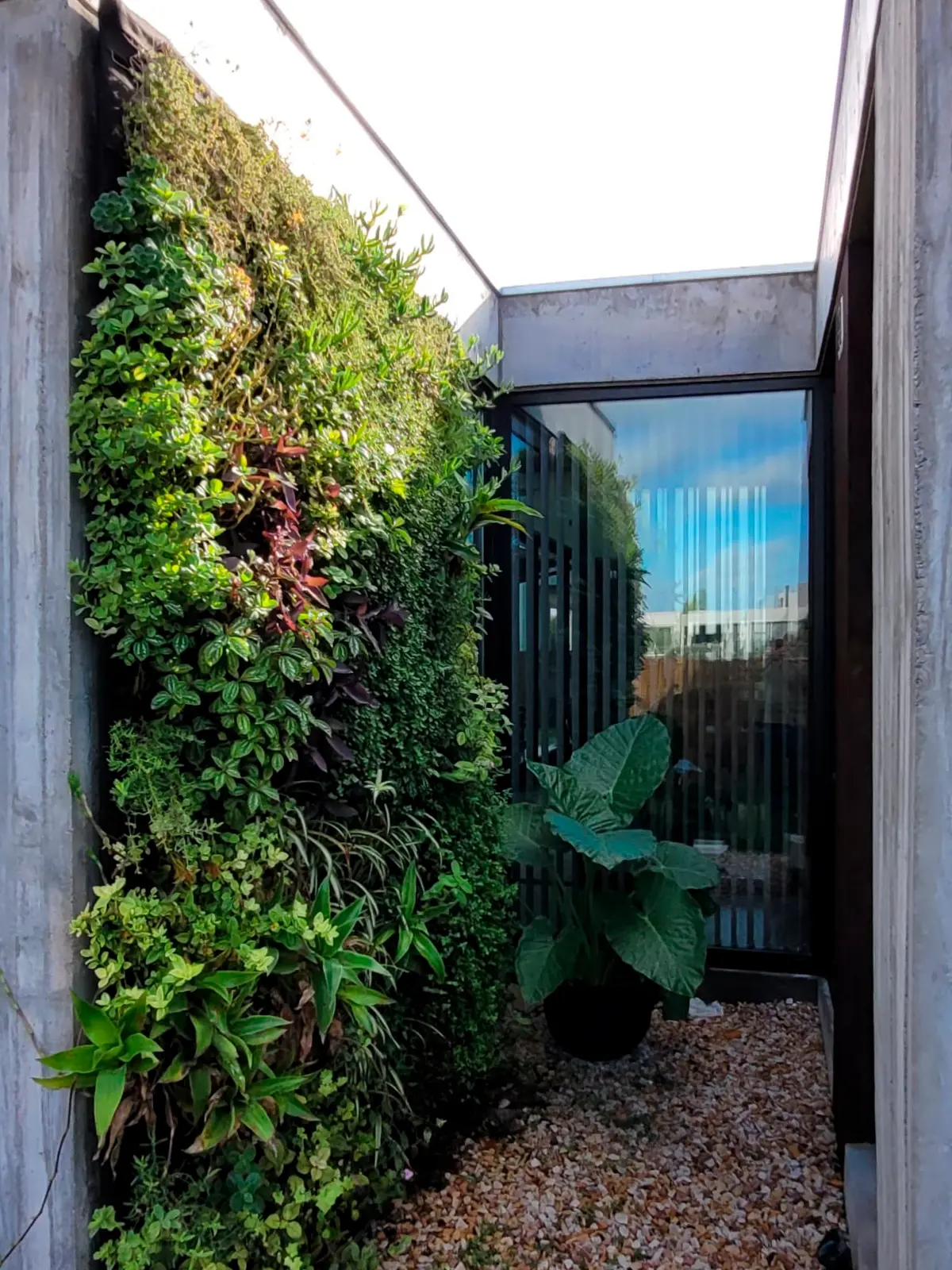 Obra - Patio