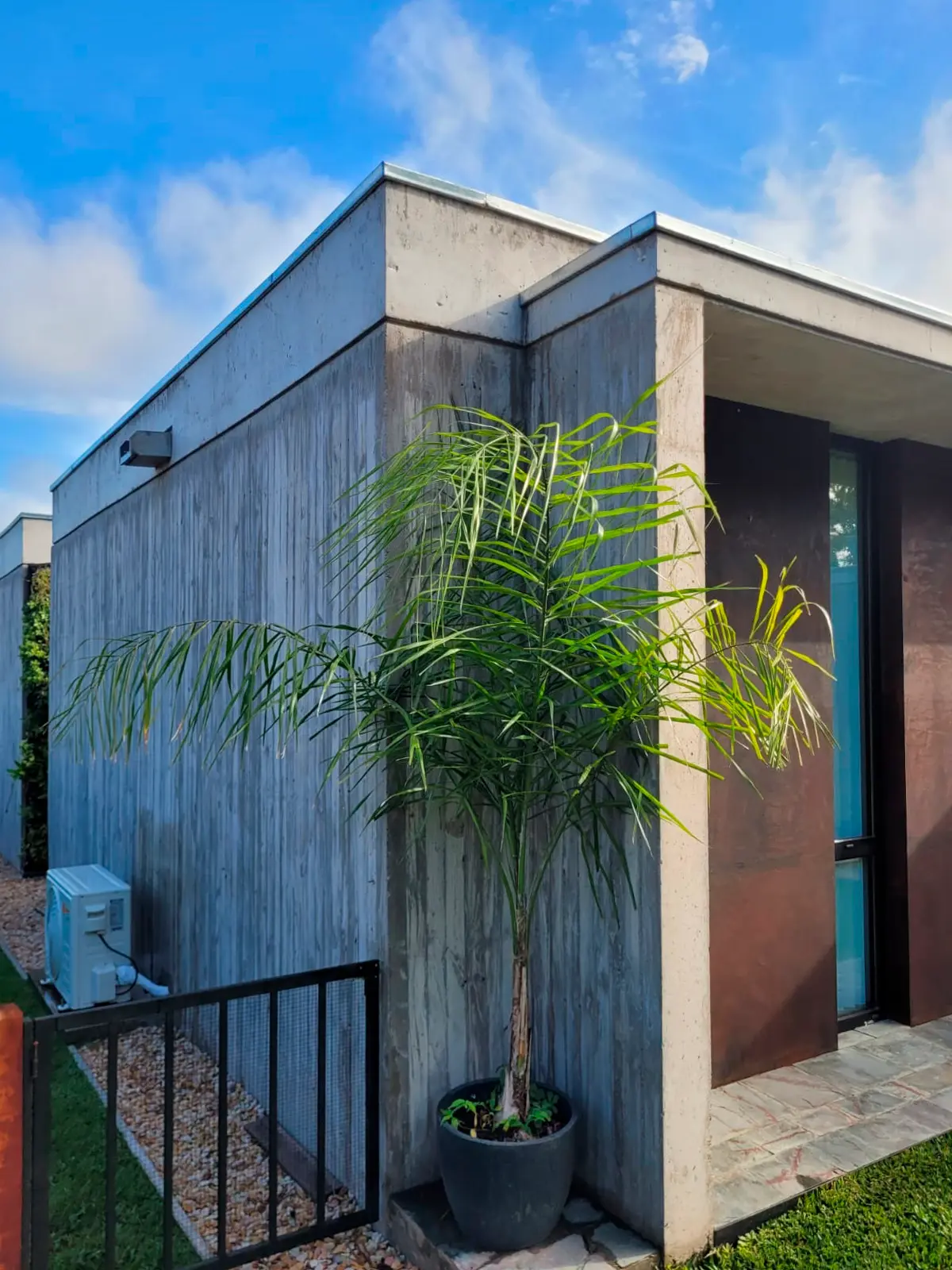 Obra - Patio